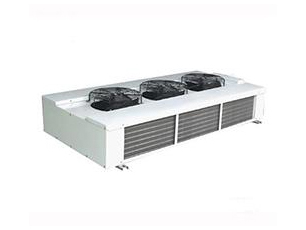 雙側(cè)出風(fēng)冷風(fēng)機